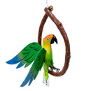 PAPAGAIO C/ ASAS NO CIPÓ - P