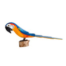 ARARA CANINDÉ NO TOQUINHO