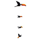 MOBILE DE TUCANO