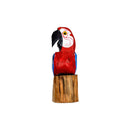 TOCO P - ARARA VERMELHA