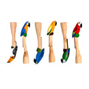 KIT 6 SOCADORES - ARARA COM TUCANO